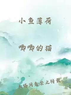 小鱼薄荷