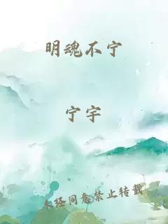 明魂不宁