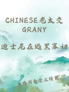 CHINESE老太交GRANY