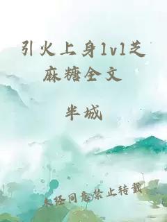 引火上身1v1芝麻糖全文