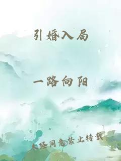 引婚入局