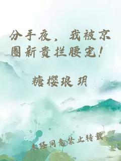 分手夜，我被京圈新贵拦腰宠！
