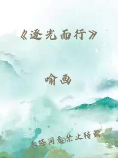 《逐光而行》