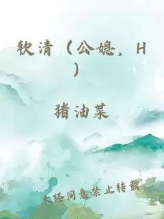 软清（公媳，H）