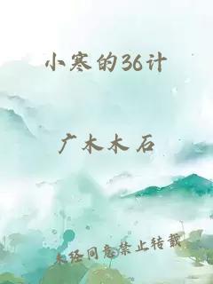 小寒的36计