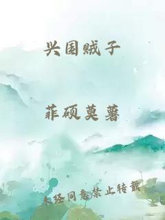 兴国贼子