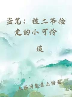 盗笔：被二爷捡走的小可怜