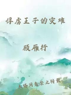 俘虏王子的灾难