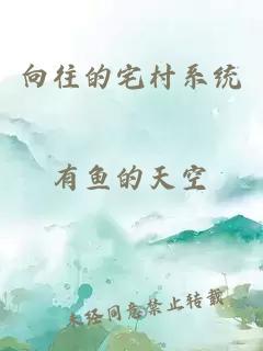 向往的宅村系统
