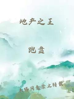 地产之王