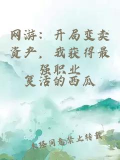 网游：开局变卖资产，我获得最强职业
