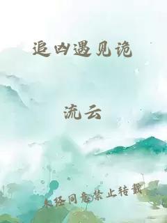 追凶遇见诡