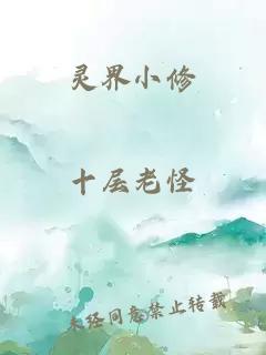灵界小修