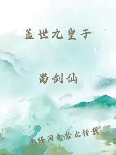 盖世九皇子