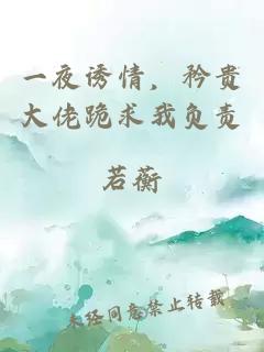 一夜诱情，矜贵大佬跪求我负责