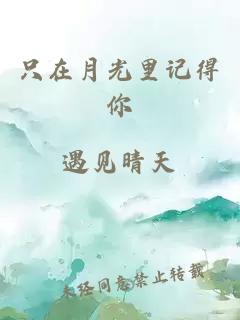 只在月光里记得你