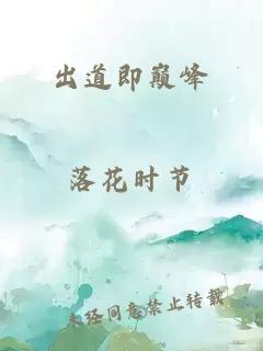 出道即巅峰