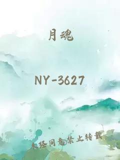月魂