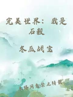 完美世界：我是石毅