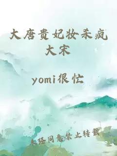 大唐贵妃妆杀疯大宋
