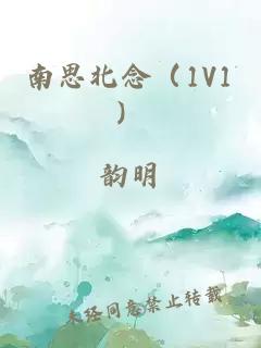 南思北念（1V1）