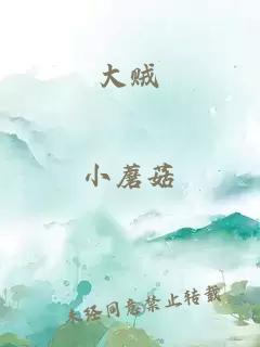 大贼