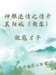 神雕迷情之情开襄阳城（黄蓉）