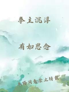 拳主沉浮