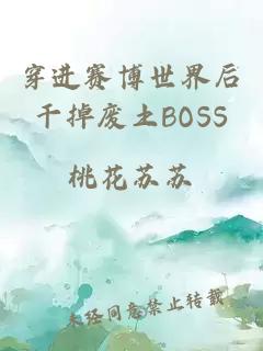 穿进赛博世界后干掉废土BOSS