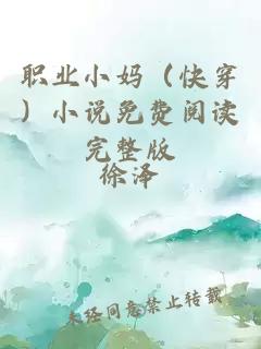 职业小妈（快穿）小说免费阅读完整版